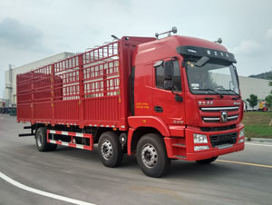 倉(cāng)柵式8-9.6米載貨車全解析 圖片、參數(shù)、對(duì)比與報(bào)價(jià)指南