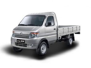 邢臺(tái)神騏T20 2018款 1.3L CNG載貨車(chē)標(biāo)準(zhǔn)型單排DAM13R 報(bào)價(jià)、降價(jià)趨勢(shì)與市場(chǎng)分析